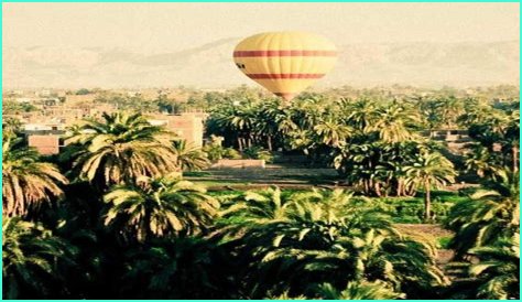 Aubree Wyatt Autopsy: Unraveling The Mystery Behind Her Untimely Death